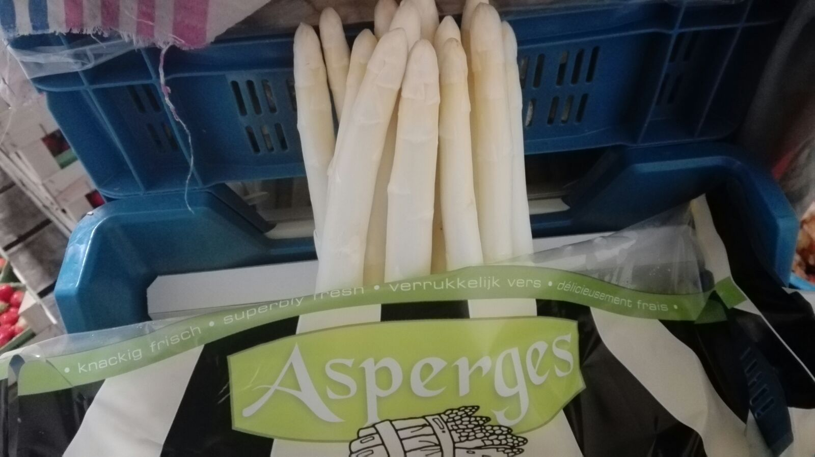 Verse asperges